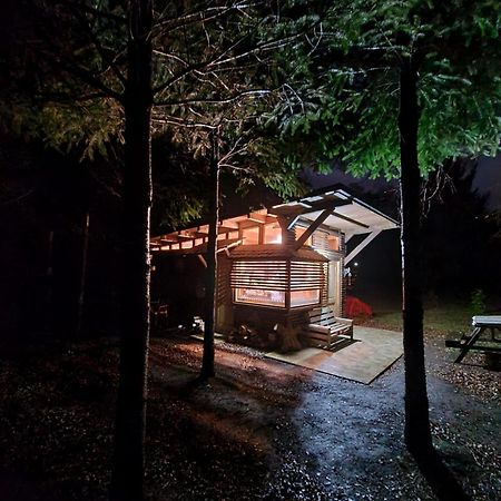 Brisas Del Llaima Villa เมลิปูเอโก ภายนอก รูปภาพ